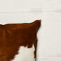 18" X 18" X 5" Gold And Chocolate Quattro  Pillow 2 Pack